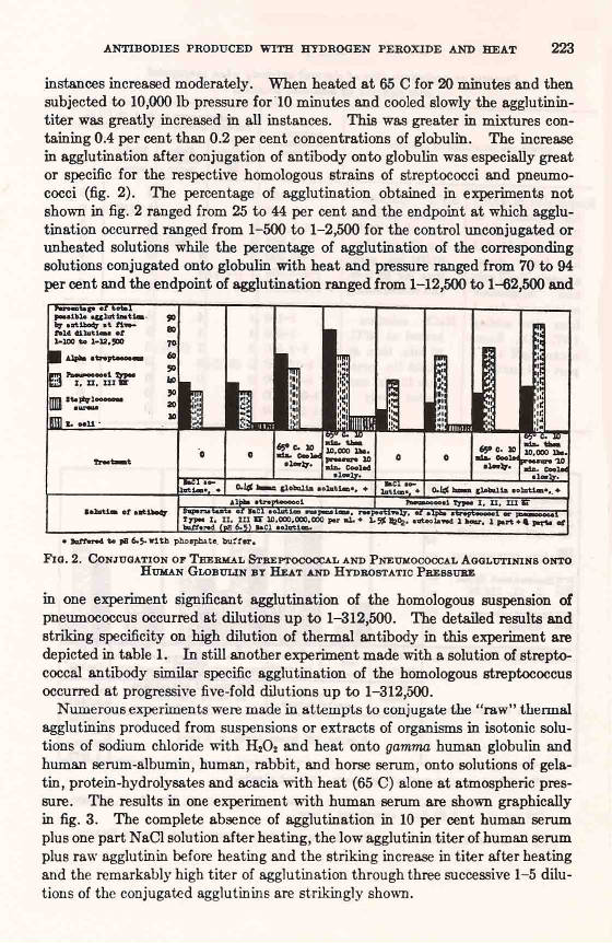 Rosenow5.jpg